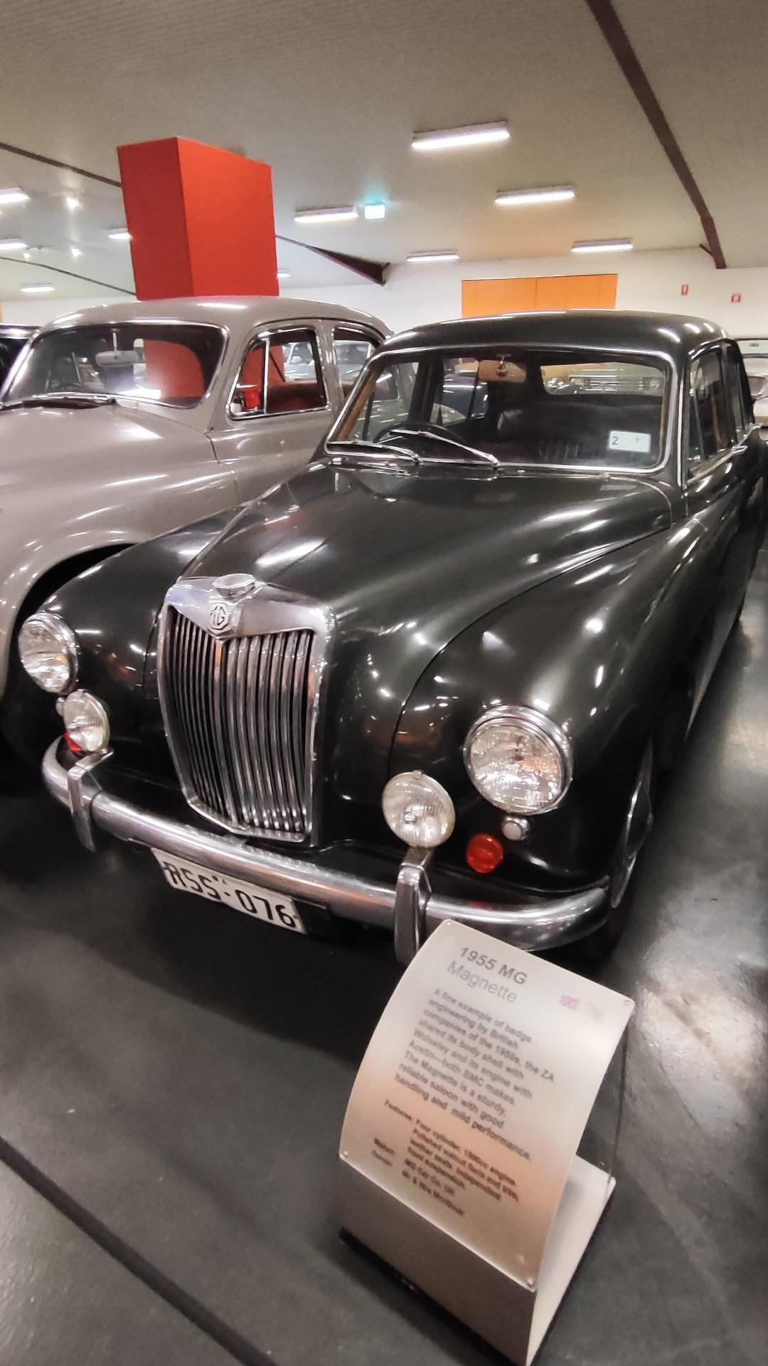 Magnette