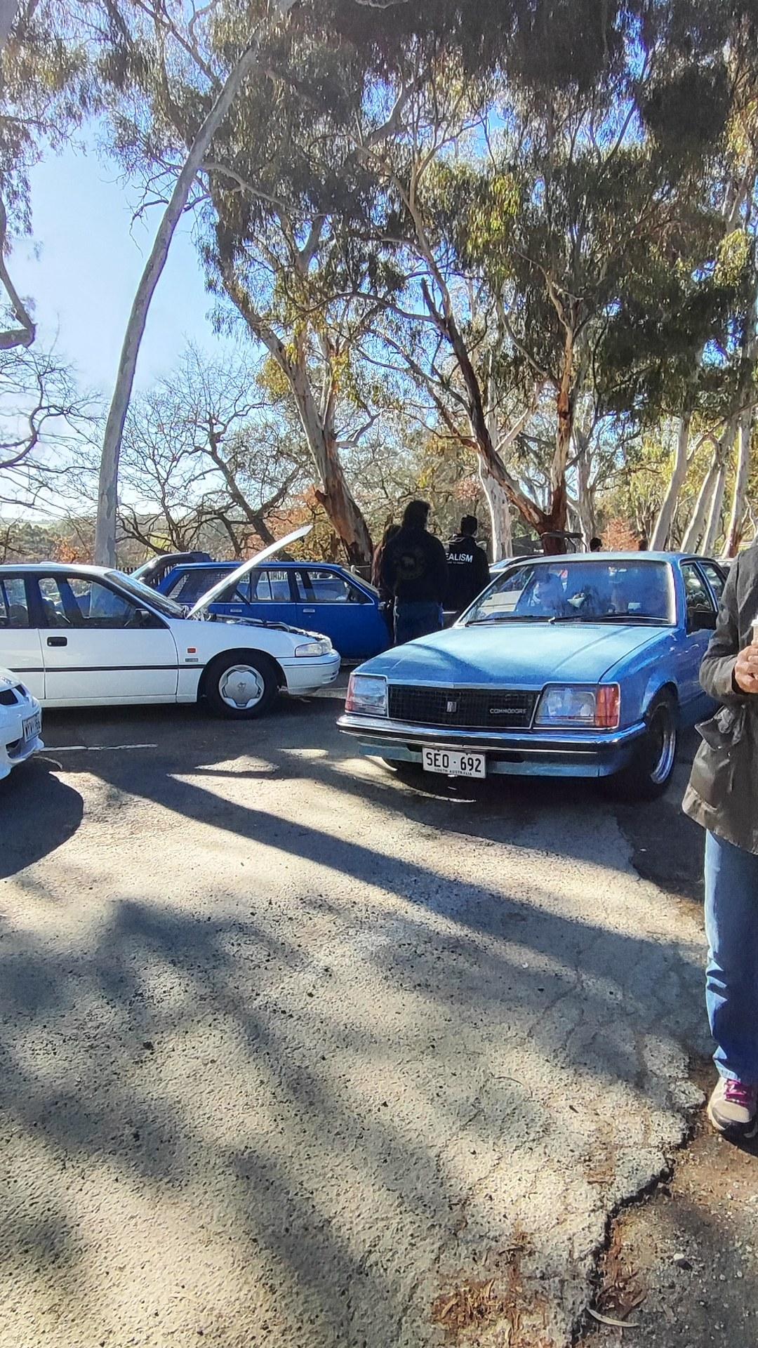 Holden Commodore VC SL