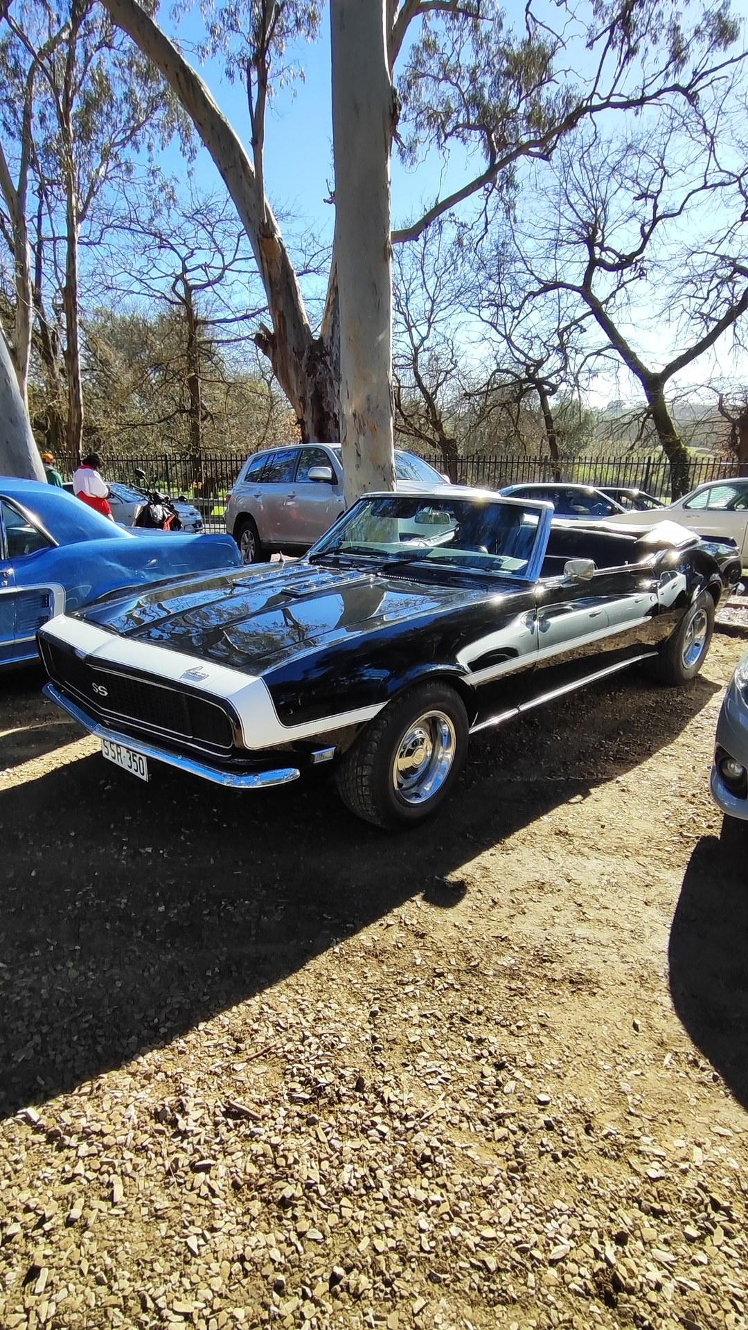 Chevrolet Camaro 1st Gen RS/SS