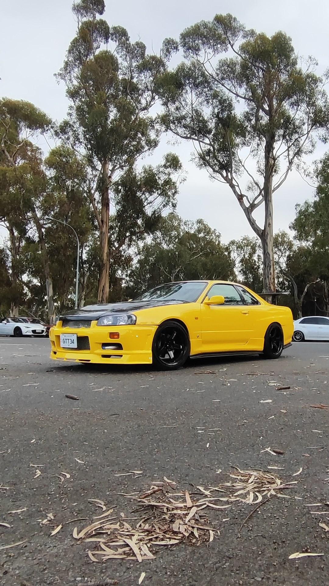 The Skylines of Vic Park Pitst