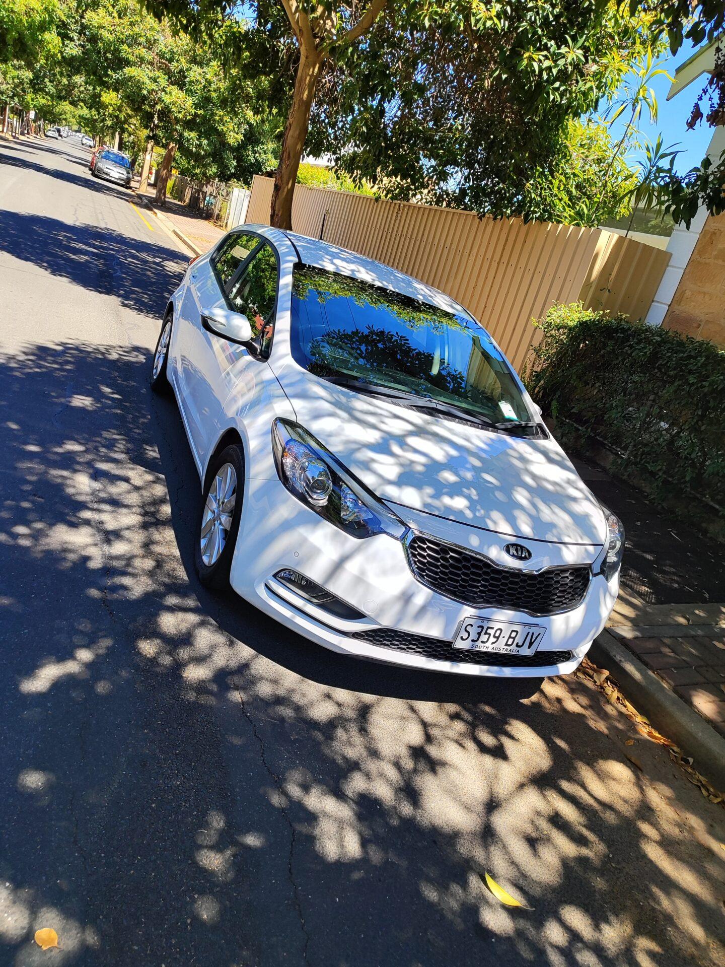 Cerato