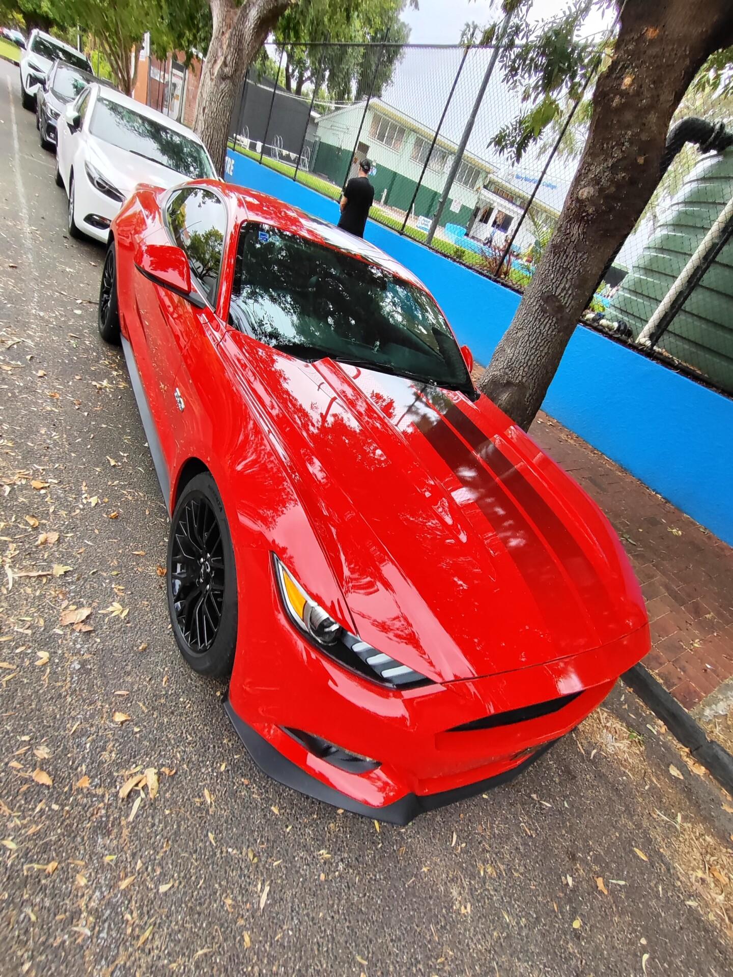 Ford Mustang FM