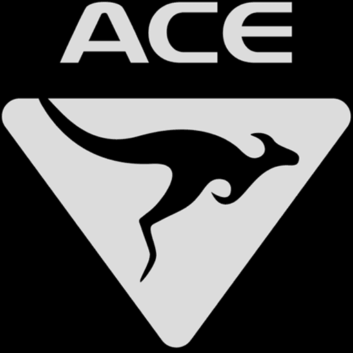 ACE EV Group