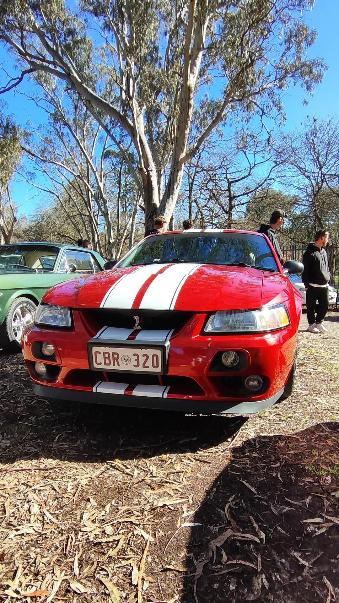 Cobra