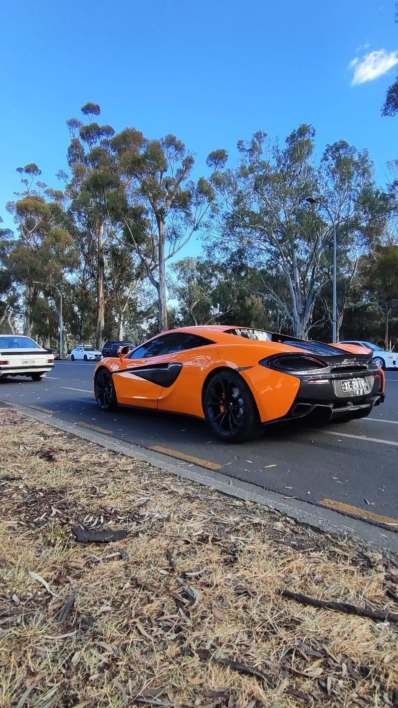 Sports Series