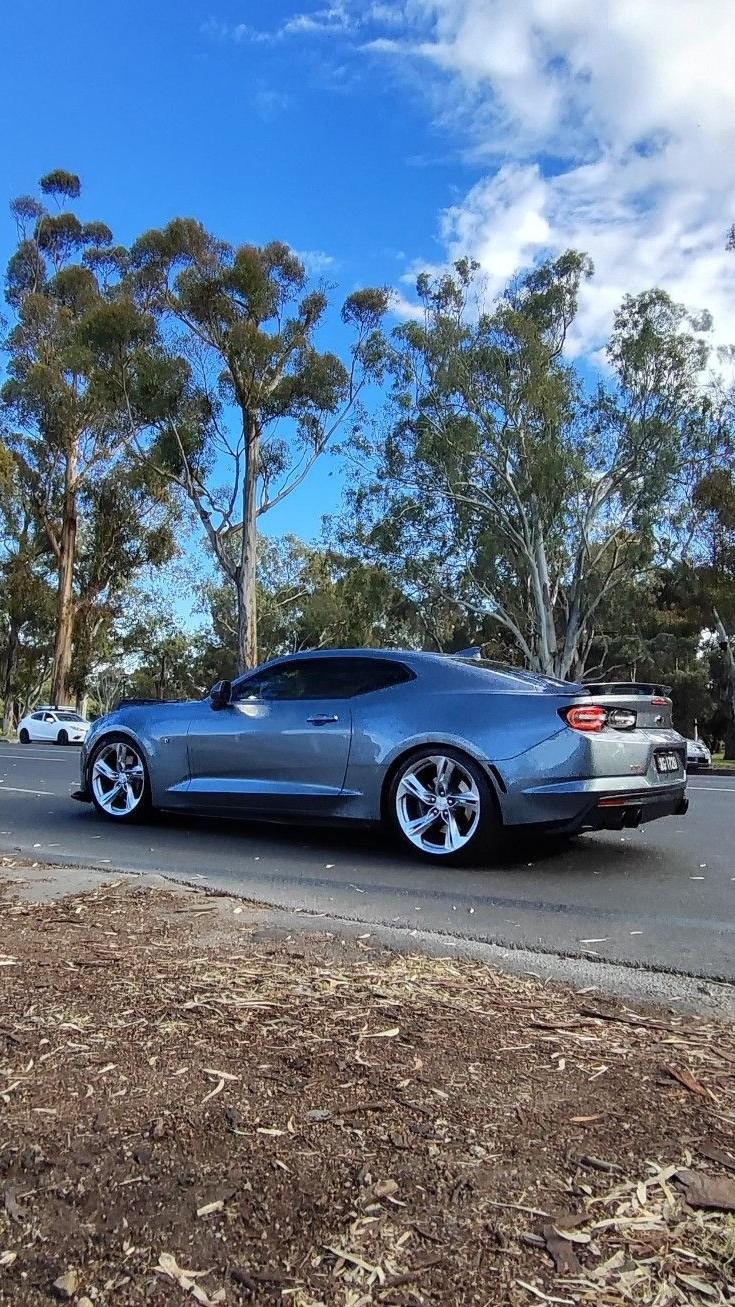 SS