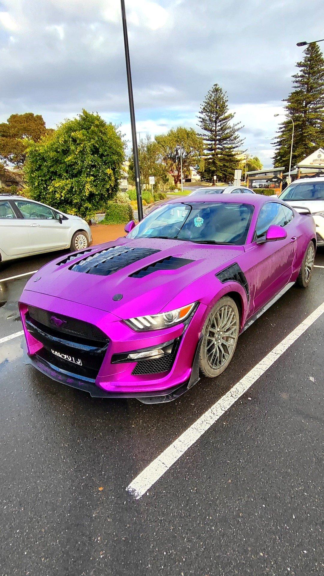 Ford Mustang S550 GT 5.0 (XE901J)