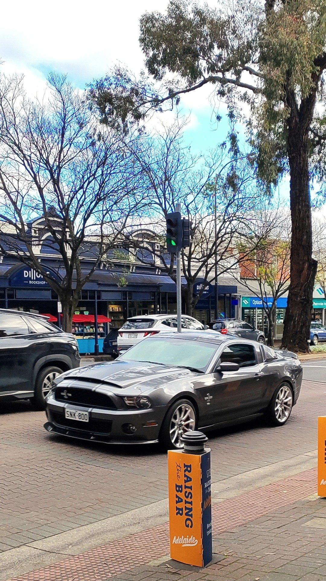 Shelby GT500